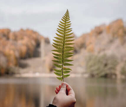 サービス案内 leaf