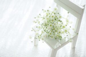 遺言書・遺言状・遺書の違いは?効力と確実な作成方法を行政書士が解説