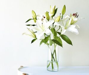 遠方にお住まいのあなたへ:実家の「墓じまい」を円滑に進める完全ガイド