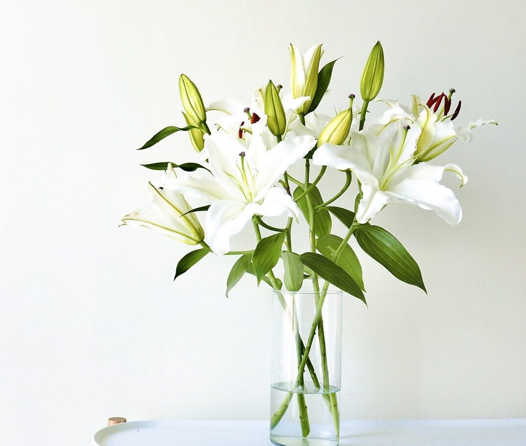 サービス案内 26821845 m