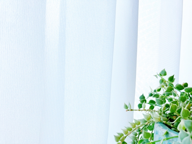 【終活で一番大変】「私物の片付け」、「財産・遺言」まで!青森の終活整理術 30877315 s