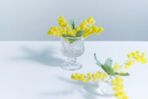 【青森県青森市の専門家解説!】家族に負担をかけないための遺言など生前準備の必要性