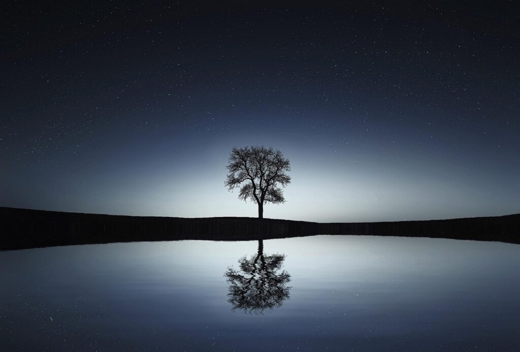 【青森市】「死亡後の手続きは友人に頼む」とき。おひとりさまの終活 bessi tree 736881 1920