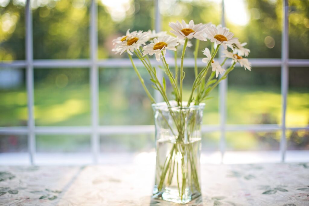 任意後見契約 jillwellington daisies 2485064