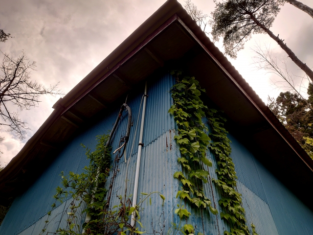 【青森のこわい話】親が死んで空き家になった実家の末路 24094632 s