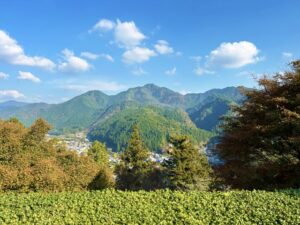 【青森の実家・山】いらない土地を手放す2つの方法(相続土地国庫帰属・寄付)と行政書士のサポート