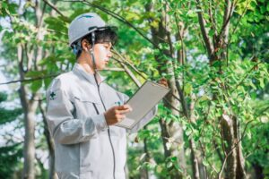 【青森】「場所もわからない山」の固定資産税を払い続ける方へ。国庫帰属への現実的な一歩