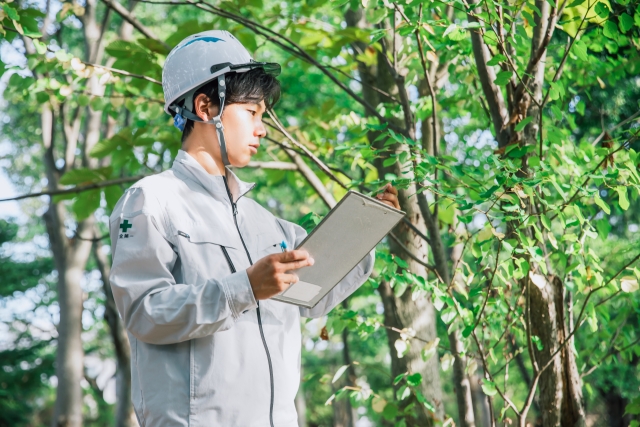【青森の実家・山】いらない土地を手放す2つの方法(相続土地国庫帰属・寄付)と行政書士のサポート 33486625 s