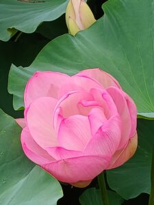 【夏期休暇のお知らせ】