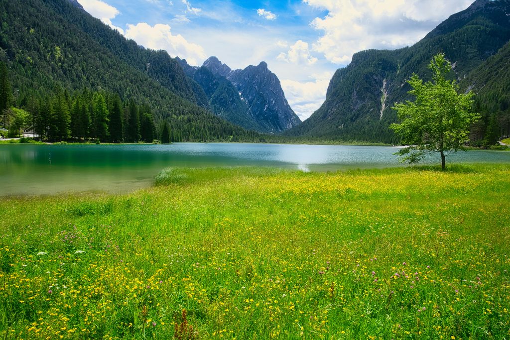 domenico adornato lhfkv tsl3m unsplash