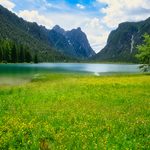 domenico adornato lhfkv tsl3m unsplash