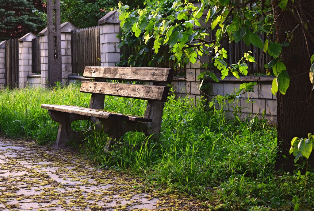 相続の手続きをしないとどうなる?「昔とは違う」現代のルール tookapic bench 932343